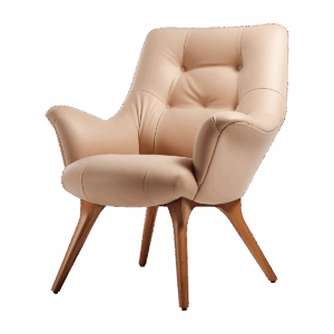 Modern Cozy Vanity Chair